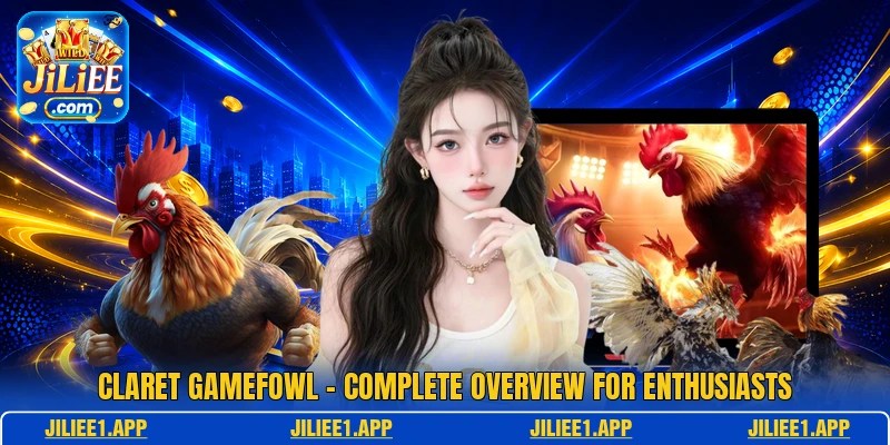 Claret Gamefowl - Complete Overview For Enthusiasts