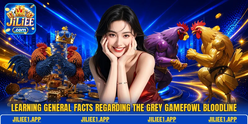 Learning general facts regarding the Grey Gamefowl bloodline