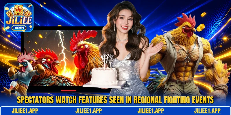 Spectators watch features seen in regional fighting events